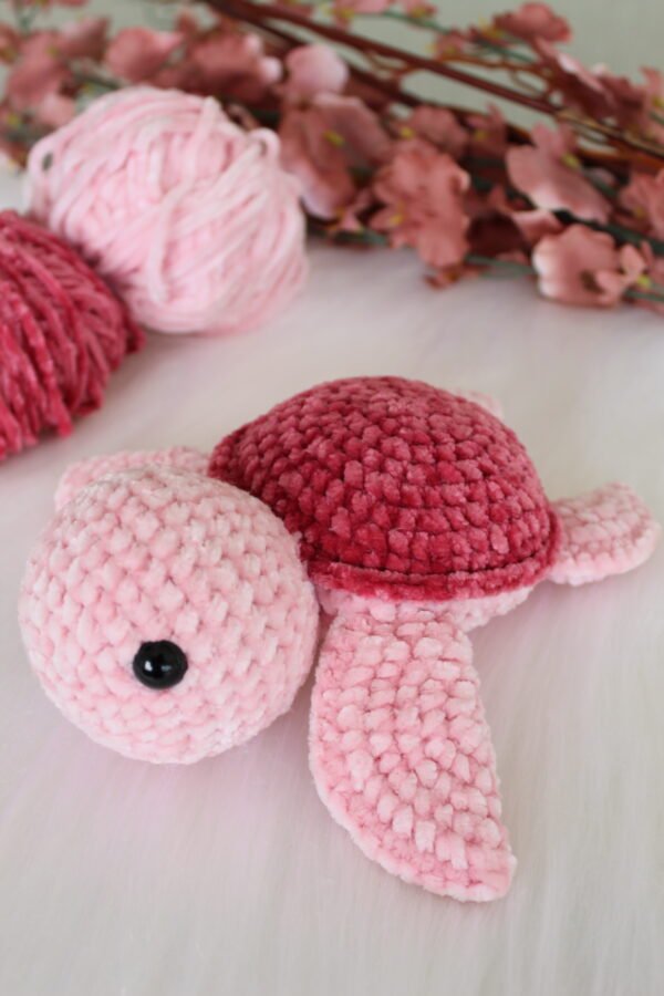 Tartaruga